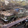 11-22 FLEMINGS PUMPKIN RUN - JUNKYARD - (60)