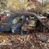 11-22 FLEMINGS PUMPKIN RUN - JUNKYARD - (62)