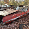 11-22 FLEMINGS PUMPKIN RUN - JUNKYARD - (72)