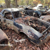 11-22 FLEMINGS PUMPKIN RUN - JUNKYARD - (73)