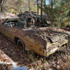 11-22 FLEMINGS PUMPKIN RUN - JUNKYARD - (77)