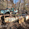 11-22 FLEMINGS PUMPKIN RUN - JUNKYARD - (91)