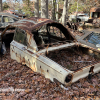 11-22 FLEMINGS PUMPKIN RUN - JUNKYARD - (96)