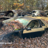 11-22 FLEMINGS PUMPKIN RUN - JUNKYARD - (99)