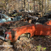 11-22 FLEMINGS PUMPKIN RUN - JUNKYARD - (119)