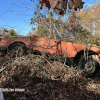 11-22 FLEMINGS PUMPKIN RUN - JUNKYARD - (141)