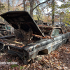 11-22 FLEMINGS PUMPKIN RUN - JUNKYARD - (148)