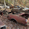 11-22 FLEMINGS PUMPKIN RUN - JUNKYARD - (156)