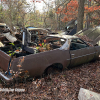 11-22 FLEMINGS PUMPKIN RUN - JUNKYARD - (163)