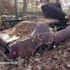 11-22 FLEMINGS PUMPKIN RUN - JUNKYARD - (176)