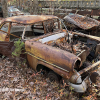 11-22 FLEMINGS PUMPKIN RUN - JUNKYARD - (184)