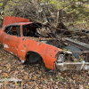 11-22 FLEMINGS PUMPKIN RUN - JUNKYARD - (194)