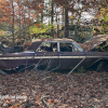 11-22 FLEMINGS PUMPKIN RUN - JUNKYARD - (216)