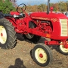 flemings_junkyard_pumpkin_run_2013_hot_rods_junk_cars_trucks_tractors287