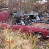 flemings-pumpkin-run-2014-junkyard015