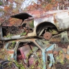 flemings-pumpkin-run-2014-junkyard018