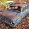 flemings-pumpkin-run-2014-junkyard032