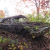 flemings-pumpkin-run-2014-junkyard046