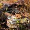 flemings-pumpkin-run-2014-junkyard050