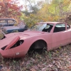 flemings-pumpkin-run-2014-junkyard063