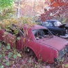 flemings-pumpkin-run-2014-junkyard075