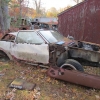 flemings-pumpkin-run-2014-junkyard078