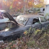 flemings-pumpkin-run-2014-junkyard084