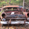 flemings-pumpkin-run-2014-junkyard091