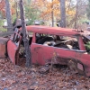 flemings-pumpkin-run-2014-junkyard093