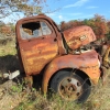 flamings-pumpkin-run-2014-junkyard016