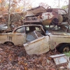 flamings-pumpkin-run-2014-junkyard025