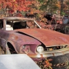 flamings-pumpkin-run-2014-junkyard038