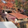 flamings-pumpkin-run-2014-junkyard039