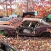 flamings-pumpkin-run-2014-junkyard040