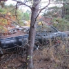 flemings_junkyard_pumpkin_run_2013_hot_rods_junk_cars_trucks_tractors161