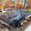 flemings-pumpkin-run-2014-cars027