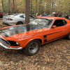 11-19 FLEMINGS PUMPKIN RUN -  (86)