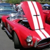 ford-cobra-shelby-reunion-021