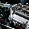 ford-cobra-shelby-reunion-028