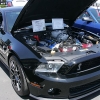 ford-cobra-shelby-reunion-084