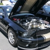 ford-cobra-shelby-reunion-086