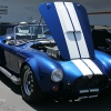 ford-cobra-shelby-reunion-091