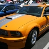 ford-cobra-shelby-reunion-094