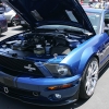 ford-cobra-shelby-reunion-097