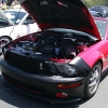 ford-cobra-shelby-reunion-098