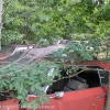 fox_wrecker_service_muscle_car_junkyard12