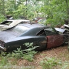 fox_wrecker_service_muscle_car_junkyard22