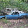 fox_wrecker_service_muscle_car_junkyard57