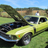 fun-ford-weekend-maple-grove-2014-mustang-cobra-fairlane-drag-racing060