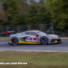 IMSA Weathertech (36)